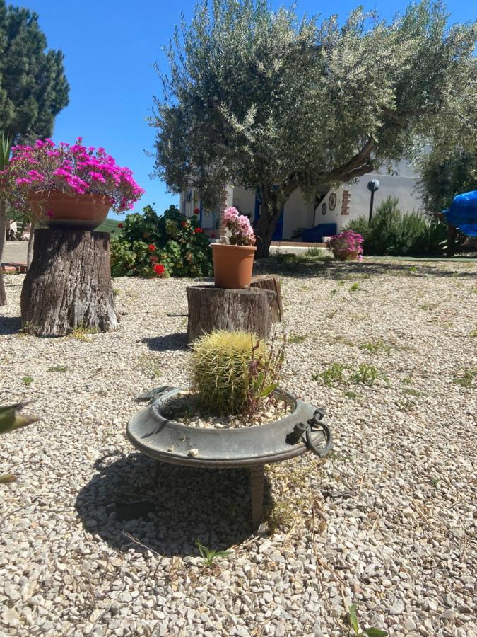 Ferienwohnung La Casa Di Gioggio Ioppolo Giancaxio Exterior foto